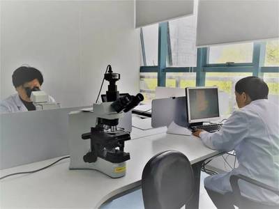 上海公司专业健康体检与检验科服务，守护您的健康生活