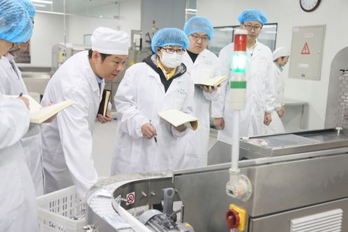 凝心聚力守正创新，聚焦主业服务监管——山东省药监局各区域检查分局与直属单位工作亮点盘点