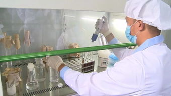 通城县质检中心 精准检测，为企护航，把好产品质量与室内环境安全关